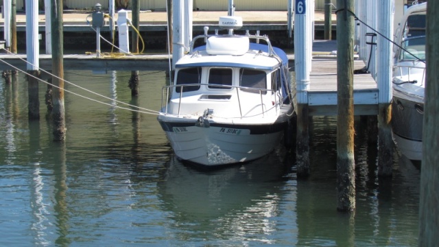 We had a real low tide the other morning with a low temp of 37 degrees. it made it hard to get off our boat for more reasons than one.