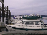 Friday Harbor, C-Dory's Everywhere