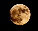 Harvest Moon from Va. Beach, VA on 13 November 2016. 
Pix taken with a NIKON D5300, NIKKOR 200-500mm/f5.6 at 500mm. The tripod was a must.