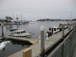 C-Dories at Marina Del Rey (C-View)