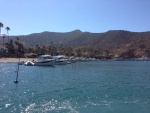 Highlight for Album: Catalina Off-Shore Adventure 2013