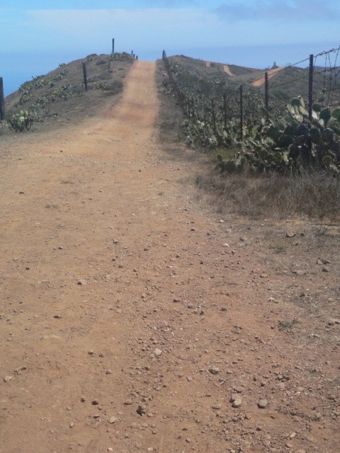 Trail on top of the 1000' mountain west of Twin Harbors