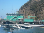 Avalon boat dock