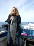 Nice King from Westport