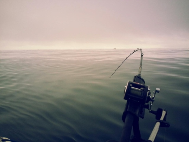 Flat seas out of Westport