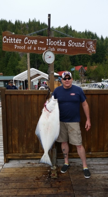 41 lbs Nootka Halibut