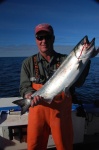 King Salmon, Gulf of Alaska, SE Alaska