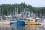 The fishing fleet waiting for the chum salmon opening at Shearwater