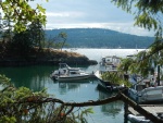 Highlight for Album: Conover Cove, Wallace Island BC