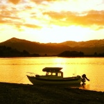 Sunset beachcombing