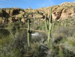 Apache Lake