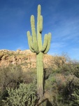 Apache Lake