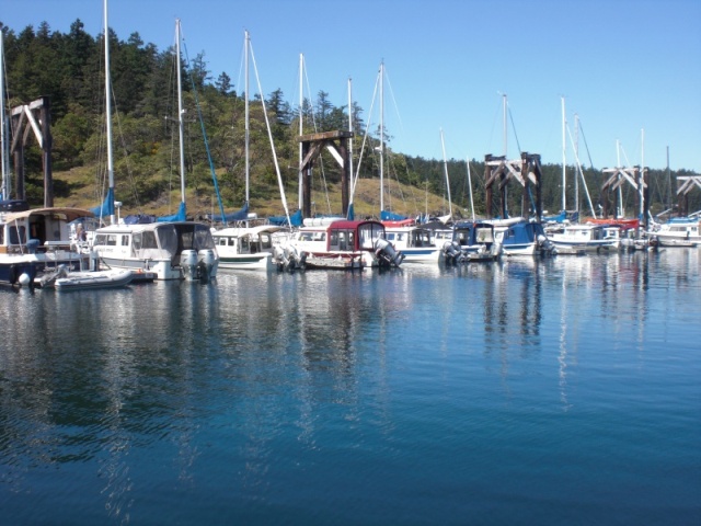 C-Brats Friday Harbor.