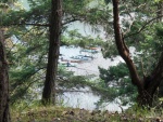 Kayaks in Reid Harbor, Stuart Island.