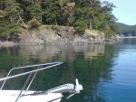 Looking back at last night's camp fire site, Prevost Harbor.  You can just make out the picnic table.