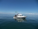 4/22 Straight of Jaun De Fuca,halibut fishing, absolutely great weather out there. 