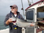 Chinook salmon