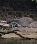 A sculpture of a fisherman along side the river with his tackle box just behind him. It looks like someone stole his fishing rod. After all this is Philadelphia.