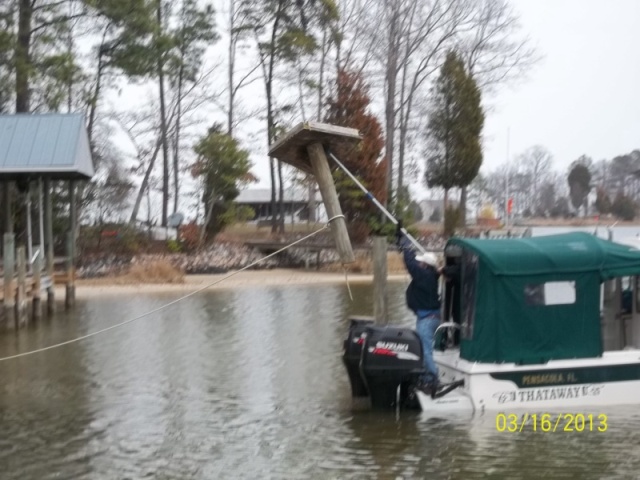 Lopped off the Pole with an Electric Chainsaw