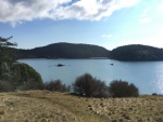 View of Bowman Bay from Rosario Head