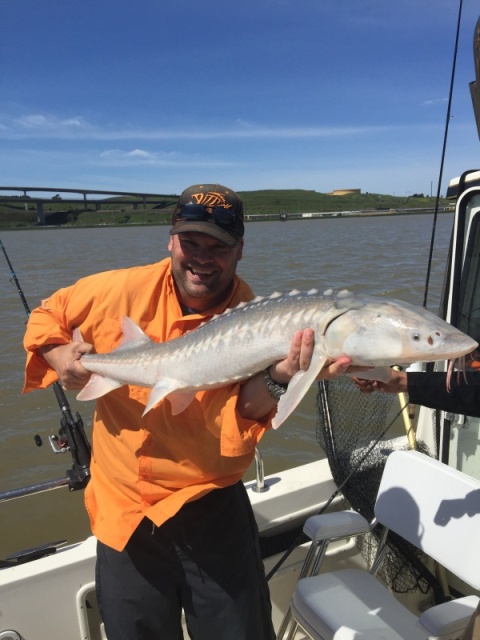 Nice Sturgeon Suisin Bay