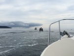 Highlight for Album: Heading to Stuart Island