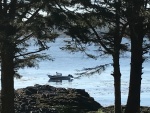 Back at our Balaklava Island mooring