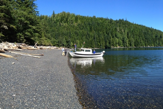 Raven on Hope Island beach, near Cape Scott and Blunden Harbor