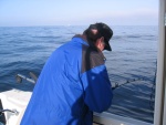 Dad\'s reeling up a halibut