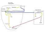 SeatalkNg/NMEA2000 Network Schemadic