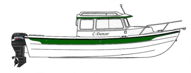 Customized line drawing.  I filled-in line drawing from factory website with C-Dancer's colors.  I thought coloring in the motor color and adding the Suzuki logo was a nice touch :-)