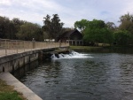 Very rare Florida waterfall, 19 million gallons a day