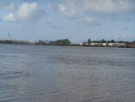 These piers are left over from WW2 when they were used to repair and, later mothball liberty ships.