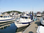 Saturday May 16th Friday Harbor