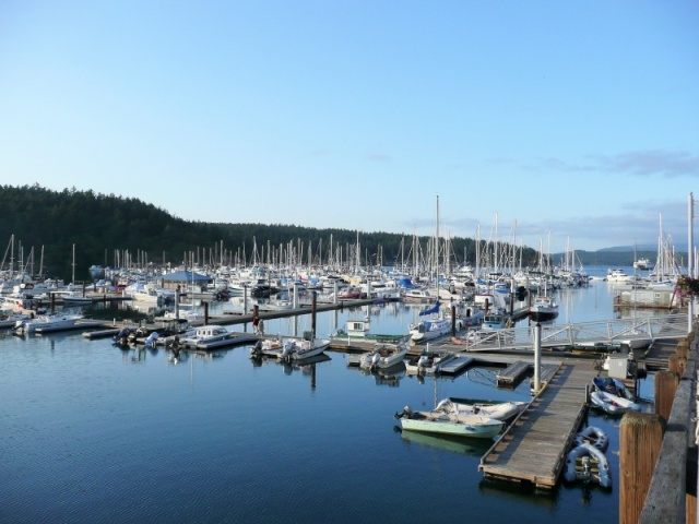 A calm Friday Harbor Marina Saturday evening May 16th