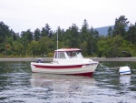 Still several buoys available late on a Saturday evening in July on Clark Island.