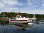 Initially grabbed a buoy in Shallow Bay on Sucia.