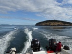 Heading from Spieden to San Juan Island, Monday morning, on my way to find some whales.