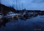 2015 - Friday Harbor
O DARK THIRTY