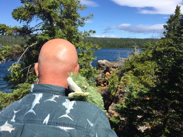 Lil\' Brat likes the hike with Joyce, but likes the view at Hay Bay even more.