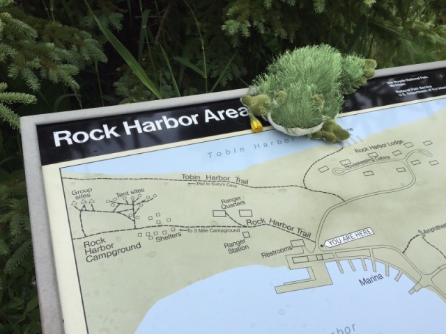 Lil' Brat picks out a trail at Rock Harbor