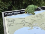 Lil' Brat picks out a trail at Rock Harbor