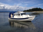 Beached on Denman Island near Comox