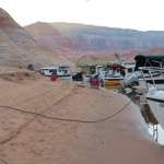 Gathering in Oak Canyon