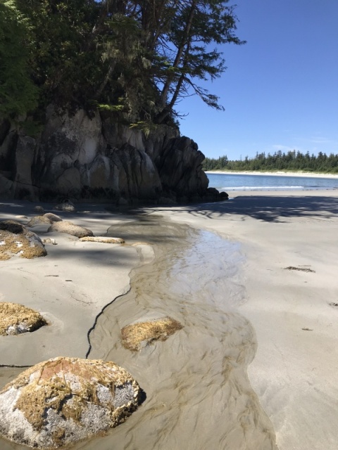 Hakai ocean beach