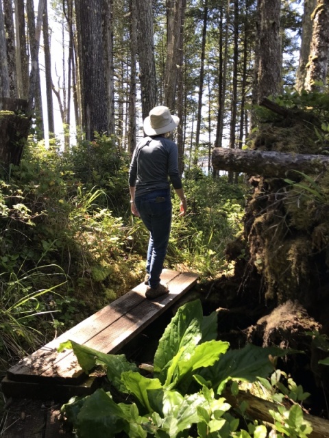 Calvert Island hiking/Hakai area