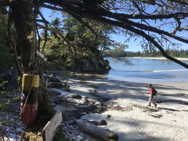 Calvert Island outer beach hiking