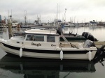 The Beagle at her berth in Westport