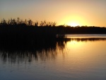 Quiet, secluded anchorage off Scipio Creek.