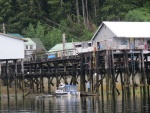 Pelican fuel dock.  Its a long way up that up ladder.  This time I used the bucket for payment 